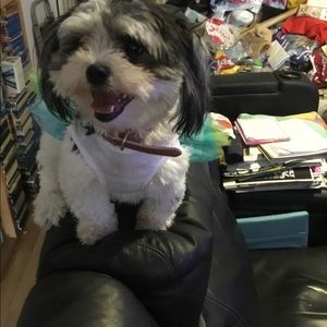 Meet your Posher, Joanne